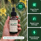 Pulmoria Mullein Drops