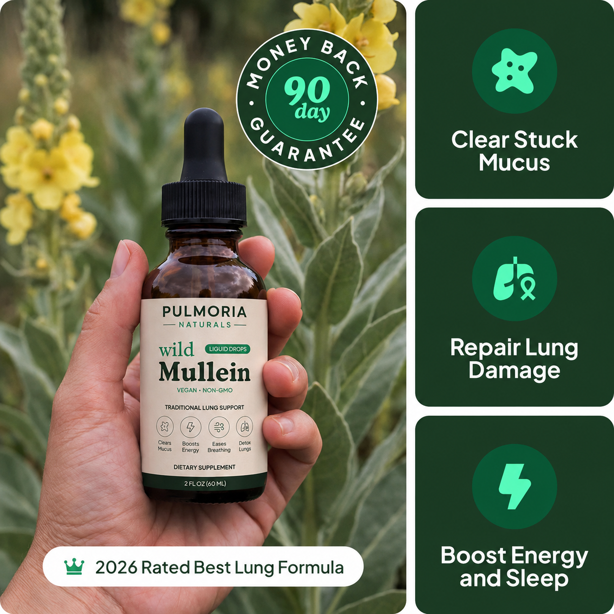 Pulmoria Mullein Drops