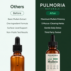 Pulmoria Mullein Drops